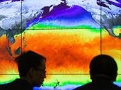 What Ocean Acidification?