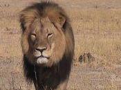 American Dentist Says Regrets Killing Cecil Lion, Believed Hunt Legal