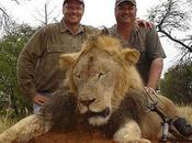 Walter Palmer, Prince Among Hunters