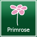 Creating Illusion with Primrose.co.uk Competition!