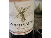 #WineStudio Crossing Andes From Viña Montes Kaiken Wines