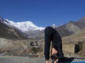 Padangusthasana/Big Pose: Cautions Benefits