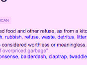 SNAP Conference: Personal Response Being Made Human Garbage Church Leaders)