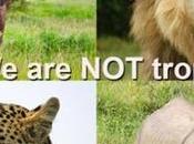 Wildlife Weekly Wrap-Up