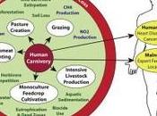 Biodiversity Conservation: Reducing Meat Consumption