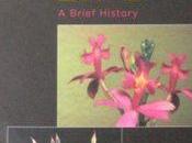 Plant Lives: Timely Coincidence