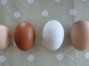 Shucks .... Possibilities