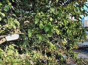 East-West Waterway No.10 Beauty