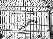 Droppings from Catholic Birdcage: Issues More Crucial Fate Poor Families Around World Than Women's Access Contraception