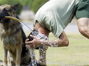 Thursday’s Mood Changer!