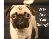 Sell Leggings People