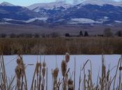 Public Lands: Feds Finalizing Management Plan Wildlife Refuges Colorado’s Luis Valley