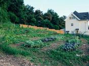 Mint Themed Dinner Farm