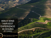 Portuguese Wine Harvest Experience