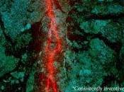 Review: Cape Wrath Paul Finch