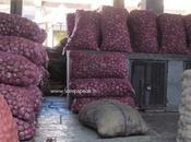 Delhi's Govt Seeks Central Support Curbing Price Spiral Onions