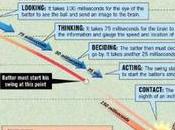 Infographic: Science Baseball Swing