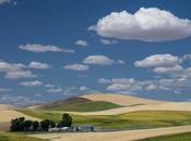 Photos from Road: Palouse