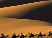 Feel Sahara Desert!