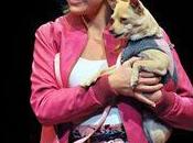 Review: Legally Blonde: Musical (Marriott Theatre)