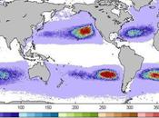 Curiositycounts: Where Junk Ocean Ends...