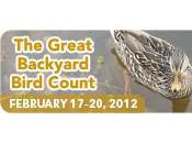 Looking Forward Great Backyard Bird Count!