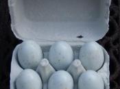Lesson Half Dozen Delicate Soap Eggs