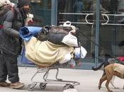 "Pets Homeless" Open Donations!