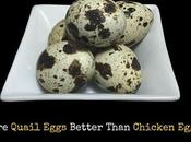 Prefer Giving Quail Eggs Over Chicken Reasons