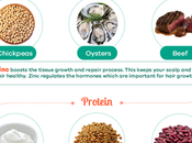 Incredible Foods Preventing Hair Loss (infographic)