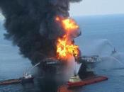 Shell Exec: Have Issue’ with Protests, ‘good Progress’ Arctic