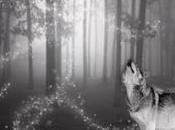 Fish Wildlife Faulted Wolf Shootings