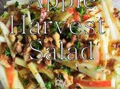 Harvest Apple Salad Great Chicken Burger