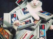 Nerdy Nintendo Fanboy Cats