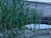 Gluten Free Menu Plan: September 14-18, 2015