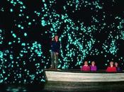 Waitomo Glowworm Caves