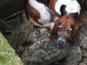 Found Help Friend Stuck Week Ravine