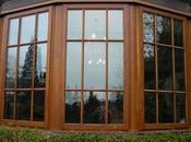 Ways Choose Prime Timber Windows