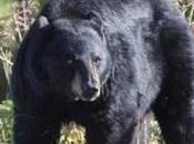 Wildlife Weekly Wrap-Up