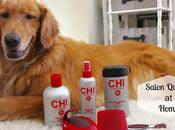 Grooming Your Golden Home with #CHIforDogs