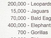 Where We’re Headed