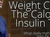 Weight Control Calories Insulin Theory