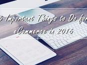 Important Things eCommerce 2016