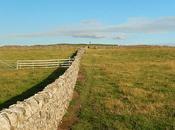 Going Neolithic In’t Derbyshire