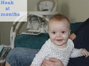 Noah Months