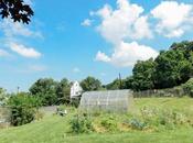 Grain Good: Hanna Mosca, YMCA Garden Program Director