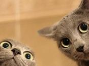 Most Adorable Videos Smile Again