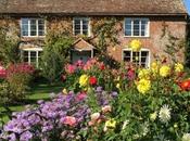 Artless Charm True Cottage Garden