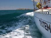 Keeping Current: Ocean Current Data Passages