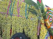 DAILY PHOTO: Festive Tractor